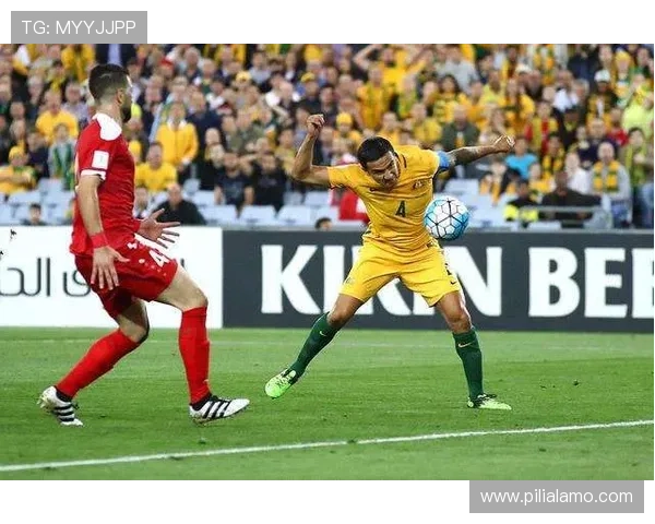 关于KB体育入口官方的常见问题解答帮助新手玩家快速解决疑问