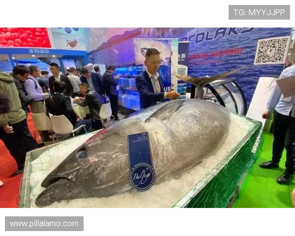 博鱼网页登陆成功后可以享受哪些丰富的服务和功能